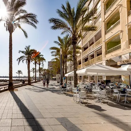 Concordia * Torrevieja